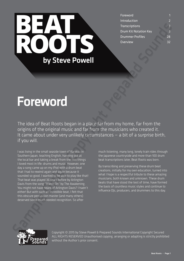 Beat Roots - Image 5