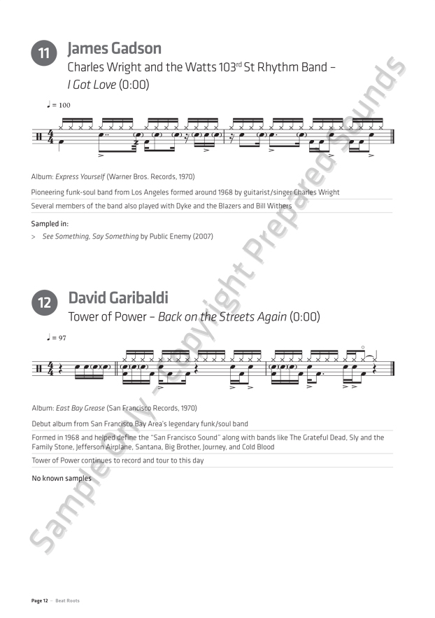 Beat Roots - Image 4