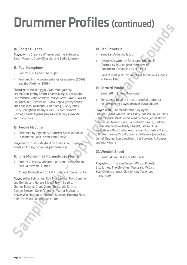 Beat Roots - Image 2