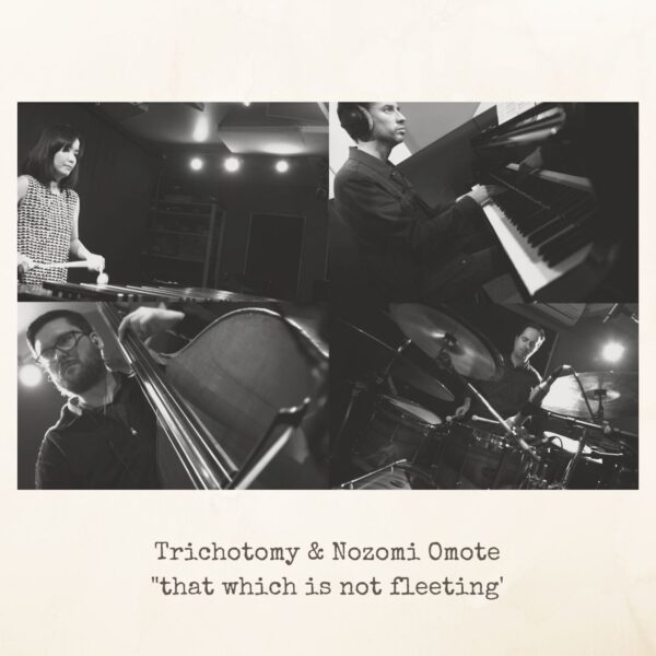 That Which Is Not Fleeting